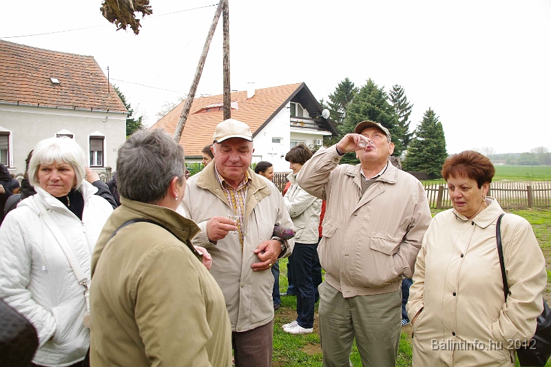 buk-torokbalint_tizeves_evfordulo_2012_100.jpg