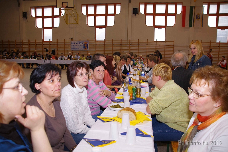 buk-torokbalint_tizeves_evfordulo_2012_141.jpg