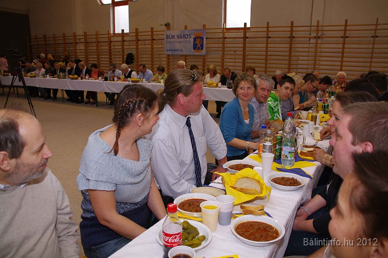 buk-torokbalint_tizeves_evfordulo_2012_144.jpg