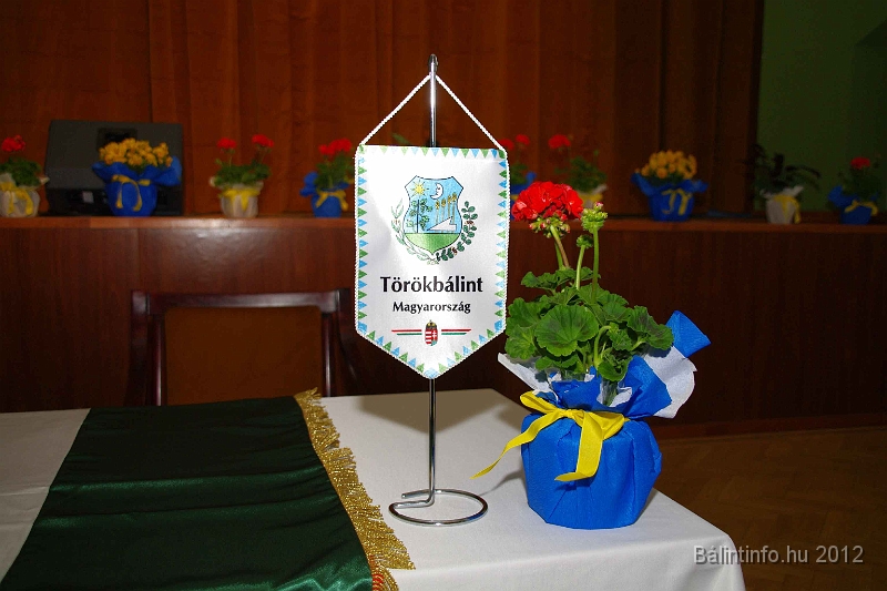 buk-torokbalint_tizeves_evfordulo_2012_236.jpg