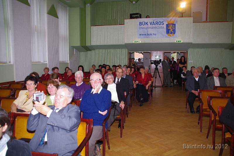 buk-torokbalint_tizeves_evfordulo_2012_239.jpg