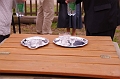buk-torokbalint_tizeves_evfordulo_2012_091