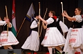 buk-torokbalint_tizeves_evfordulo_2012_319