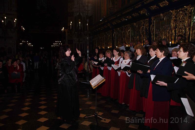 torokbalint_cantabile_krakko_koncert-1_2014_058.JPG
