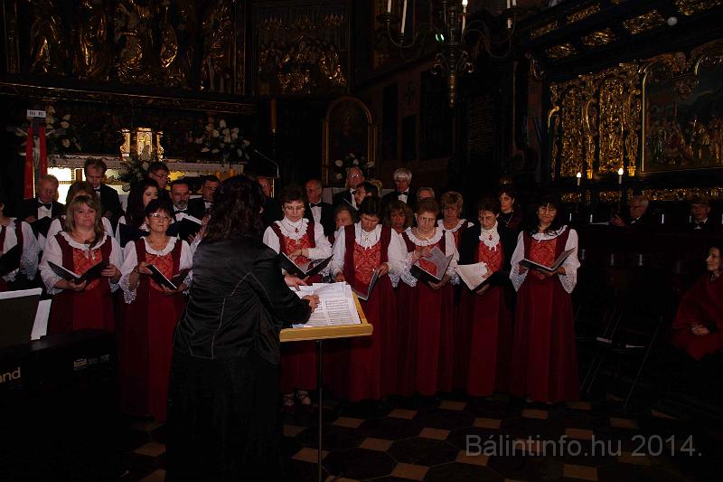 torokbalint_cantabile_krakko_koncert-1_2014_062.JPG
