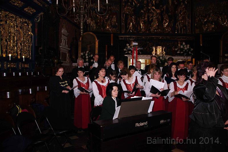 torokbalint_cantabile_krakko_koncert-1_2014_063.JPG
