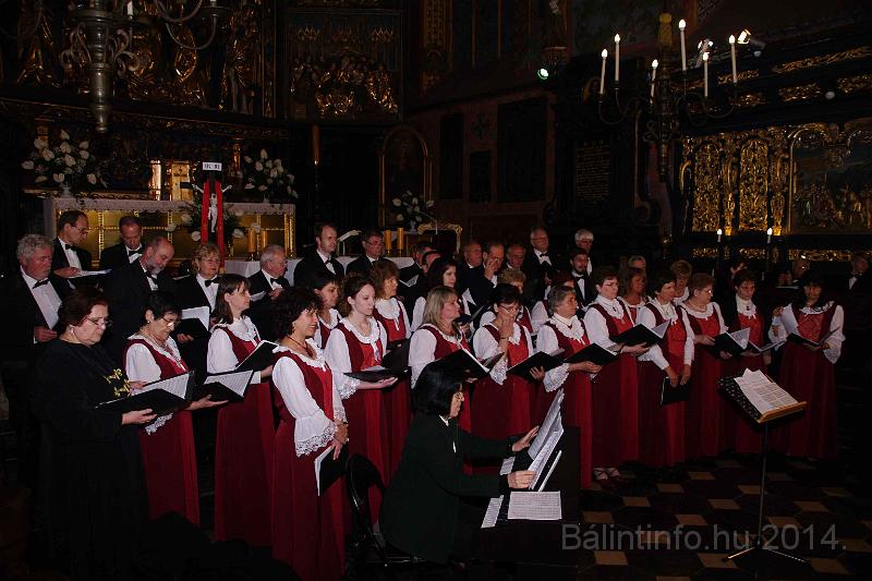 torokbalint_cantabile_krakko_koncert-1_2014_066.JPG