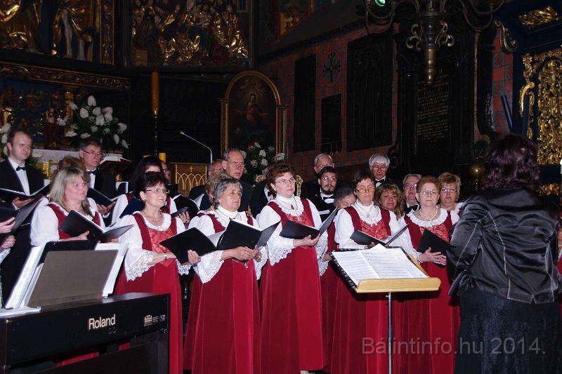 torokbalint_cantabile_krakko_koncert-1_2014_081.JPG