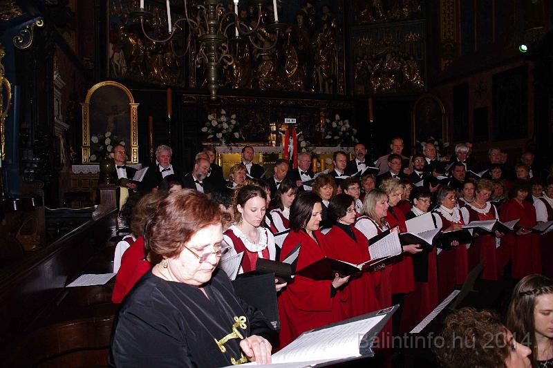 torokbalint_cantabile_krakko_koncert-1_2014_108.JPG