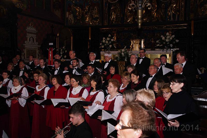 torokbalint_cantabile_krakko_koncert-1_2014_110.JPG