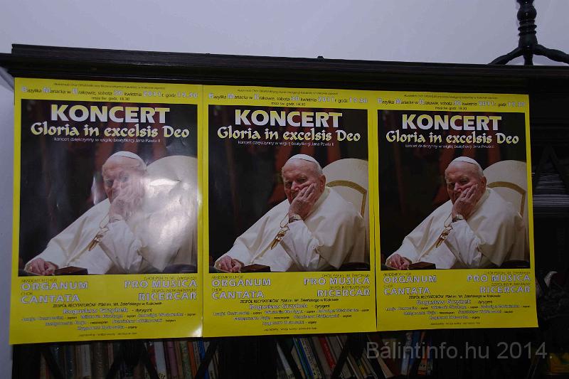 torokbalint_cantabile_krakko_koncert-1_2014_129.JPG