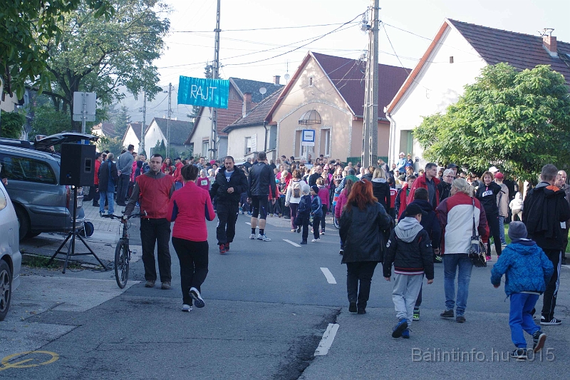 torokbalint_kerekdombfutas_2015_008.jpg