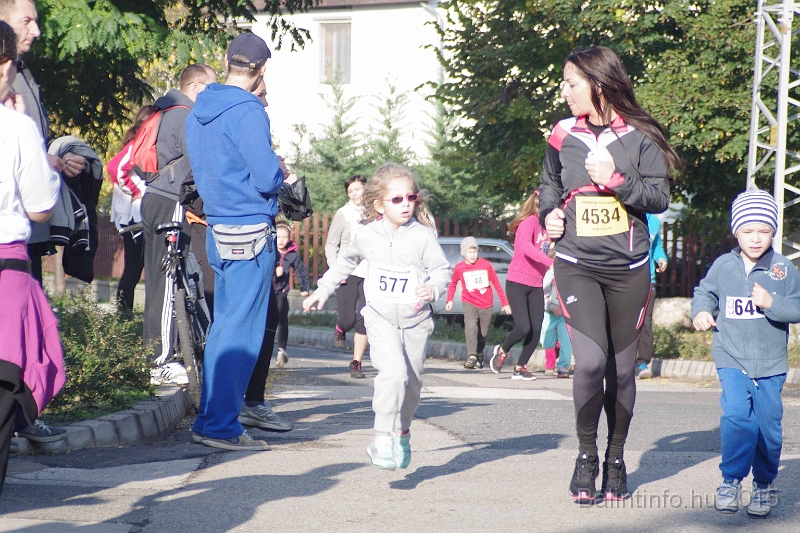 torokbalint_kerekdombfutas_2015_019.jpg