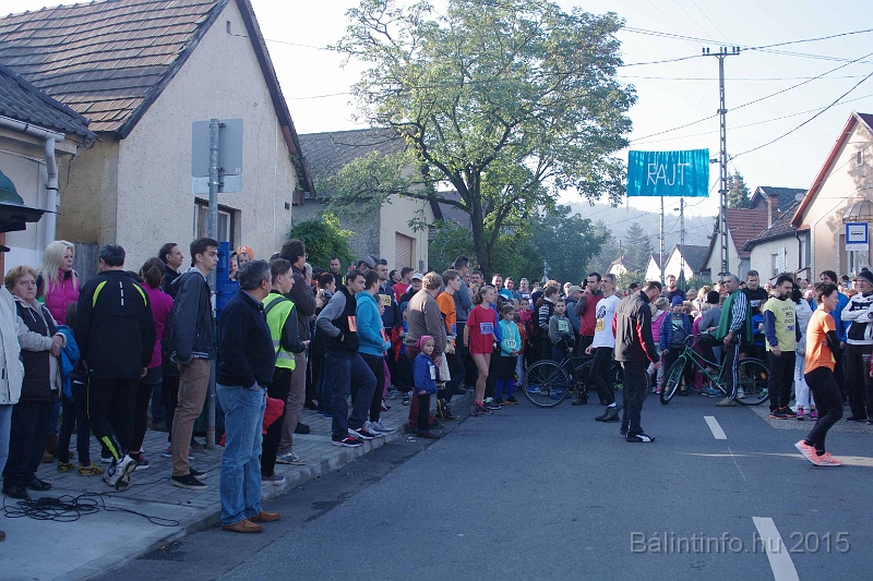 torokbalint_kerekdombfutas_2015_045.jpg