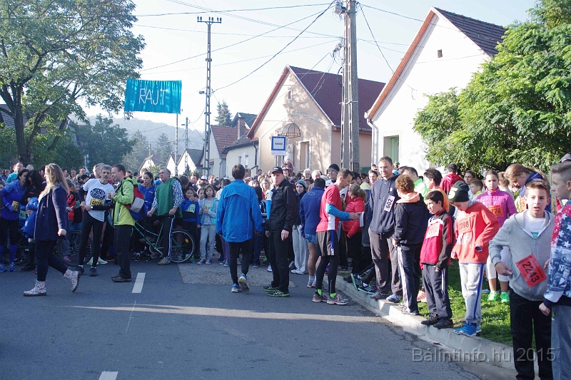 torokbalint_kerekdombfutas_2015_050.jpg