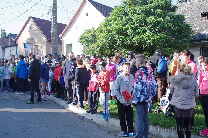 torokbalint_kerekdombfutas_2015_051.jpg