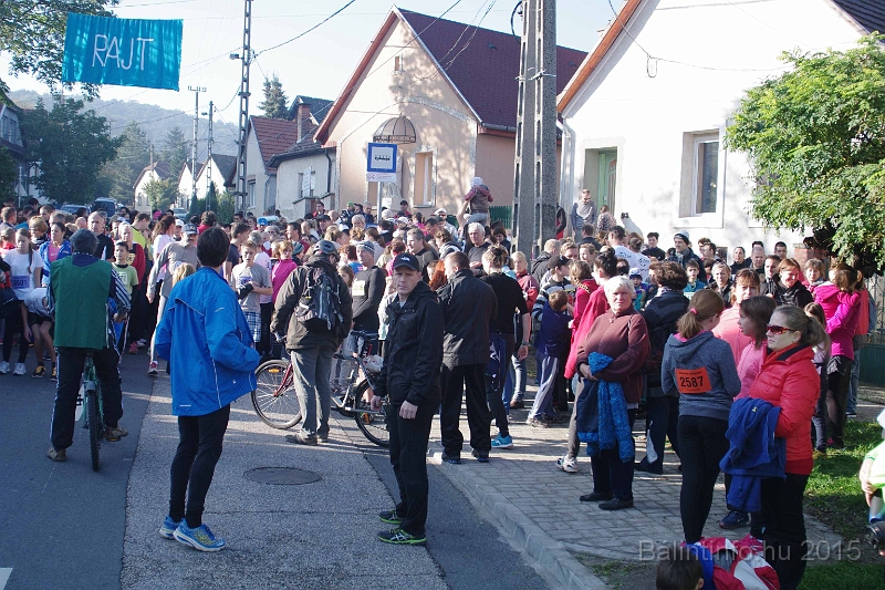 torokbalint_kerekdombfutas_2015_057.jpg