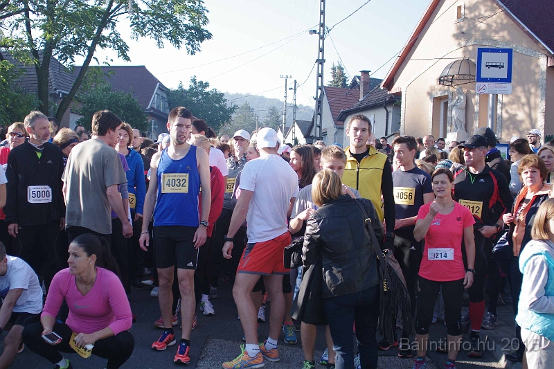 torokbalint_kerekdombfutas_2015_059.jpg