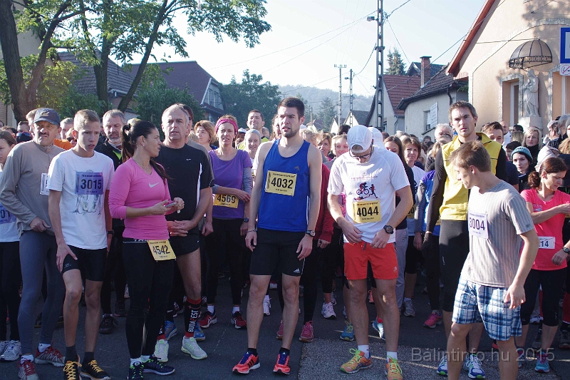 torokbalint_kerekdombfutas_2015_062.jpg