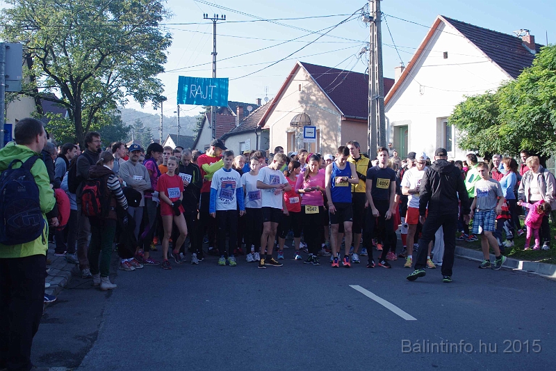 torokbalint_kerekdombfutas_2015_069.jpg
