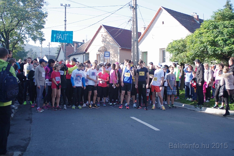 torokbalint_kerekdombfutas_2015_070.jpg