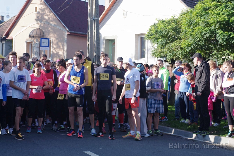 torokbalint_kerekdombfutas_2015_072.jpg