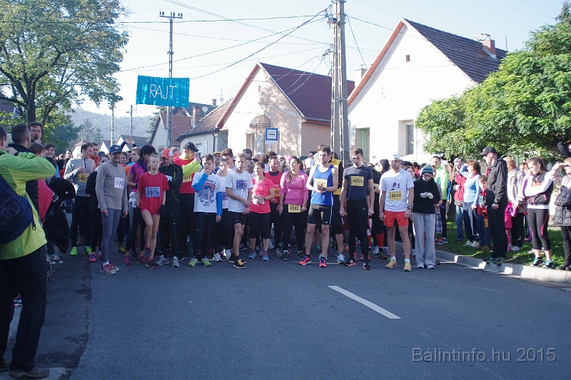 torokbalint_kerekdombfutas_2015_073.jpg