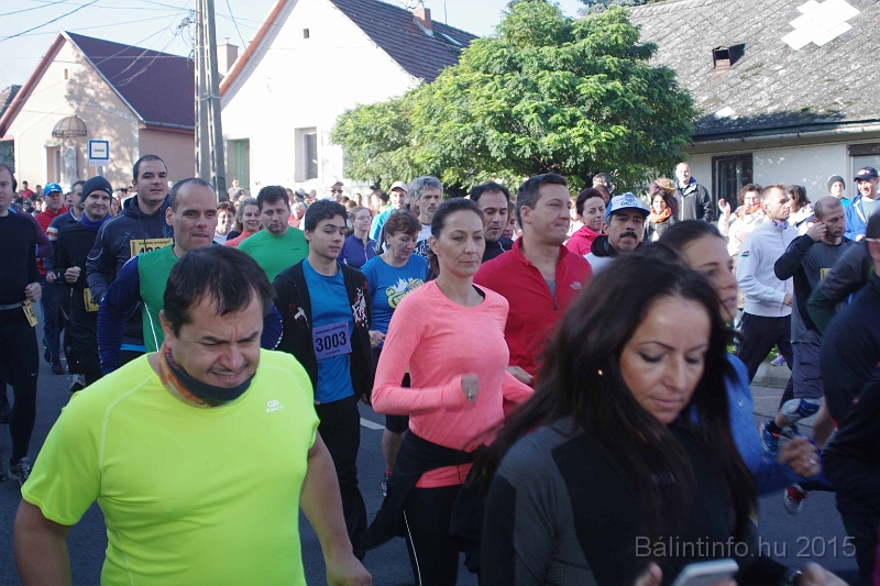 torokbalint_kerekdombfutas_2015_079.jpg