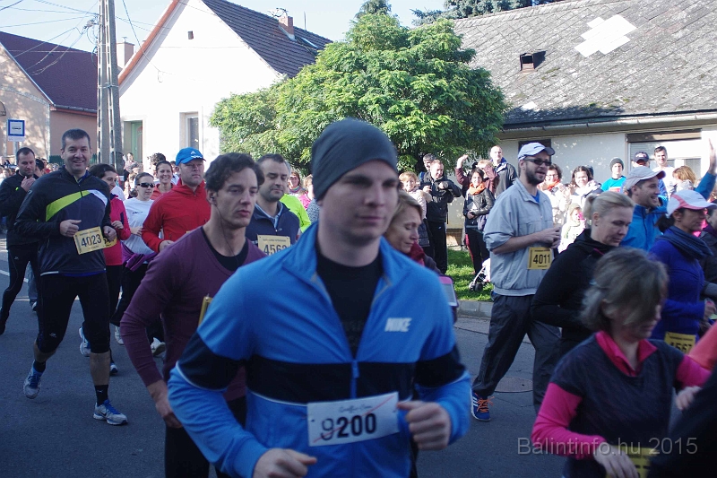 torokbalint_kerekdombfutas_2015_081.jpg