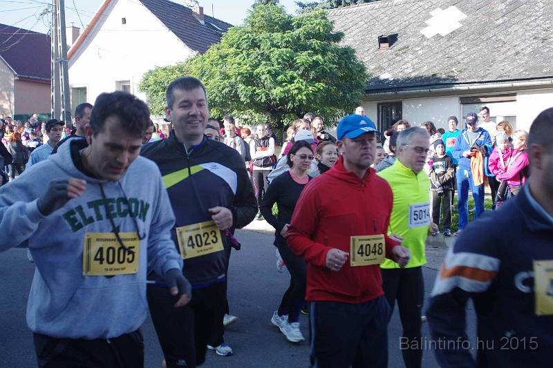 torokbalint_kerekdombfutas_2015_082.jpg