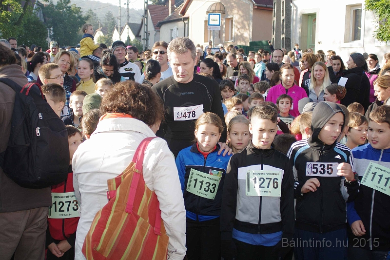 torokbalint_kerekdombfutas_2015_086.jpg