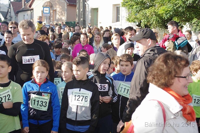torokbalint_kerekdombfutas_2015_088.jpg