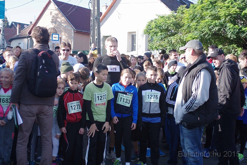 torokbalint_kerekdombfutas_2015_091.jpg