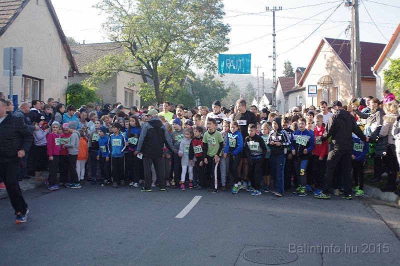 torokbalint_kerekdombfutas_2015_092.jpg