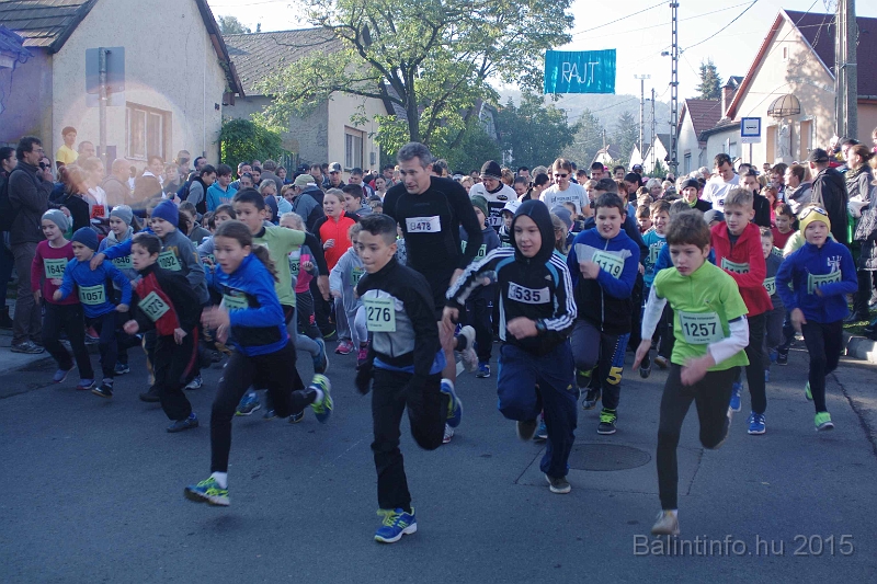 torokbalint_kerekdombfutas_2015_093.jpg