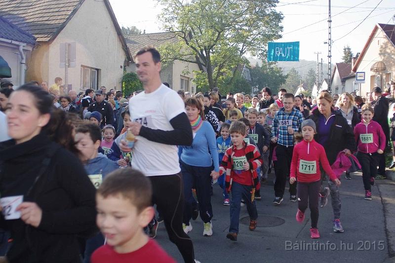 torokbalint_kerekdombfutas_2015_094.jpg