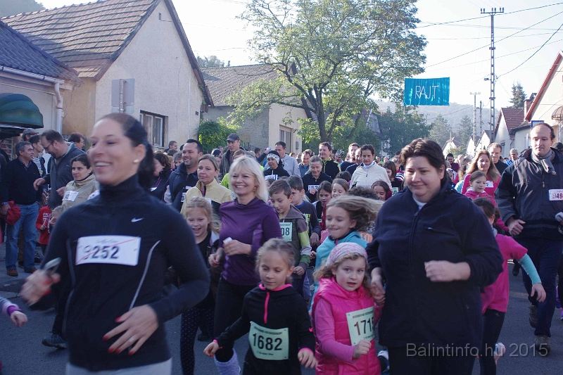 torokbalint_kerekdombfutas_2015_098.jpg