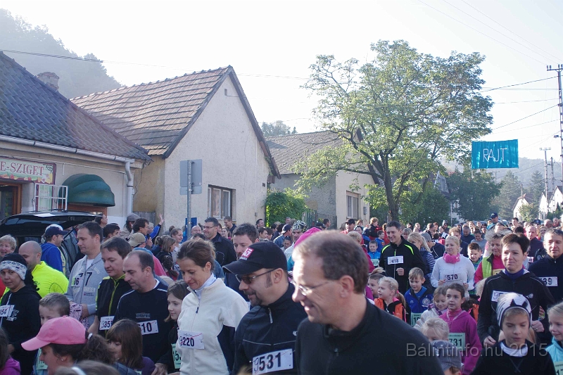torokbalint_kerekdombfutas_2015_101.jpg