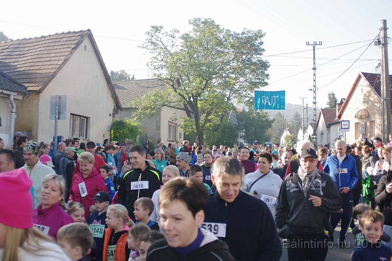 torokbalint_kerekdombfutas_2015_103.jpg