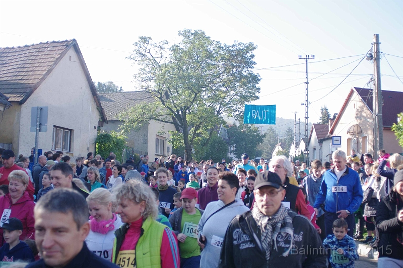 torokbalint_kerekdombfutas_2015_104.jpg