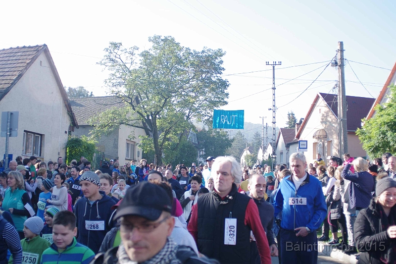 torokbalint_kerekdombfutas_2015_105.jpg
