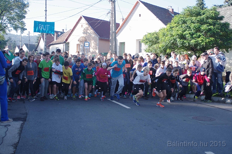 torokbalint_kerekdombfutas_2015_113.jpg