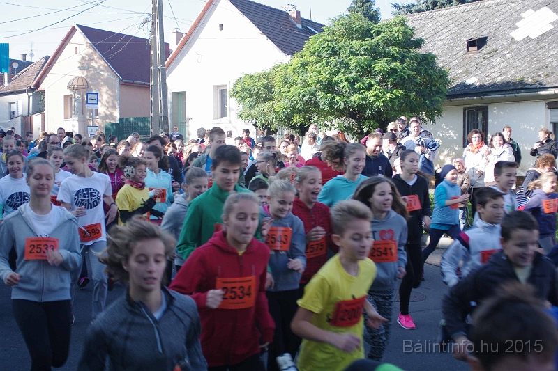 torokbalint_kerekdombfutas_2015_114.jpg