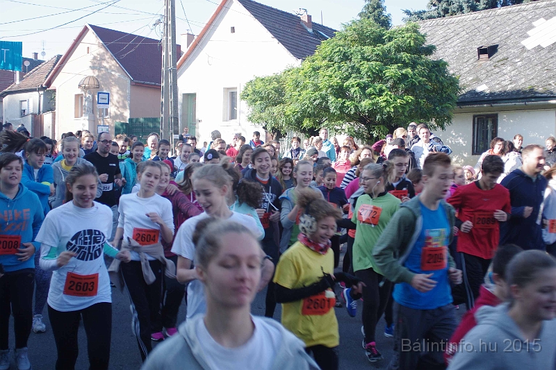 torokbalint_kerekdombfutas_2015_115.jpg