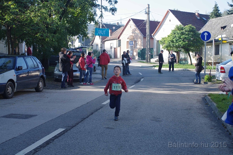 torokbalint_kerekdombfutas_2015_128.jpg
