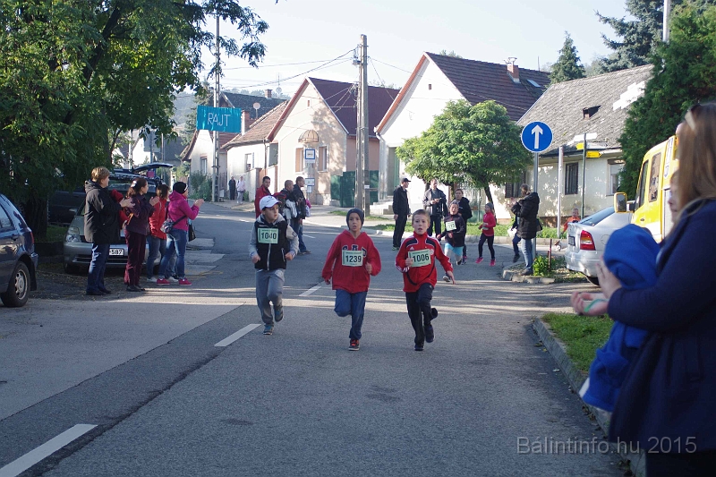 torokbalint_kerekdombfutas_2015_129.jpg