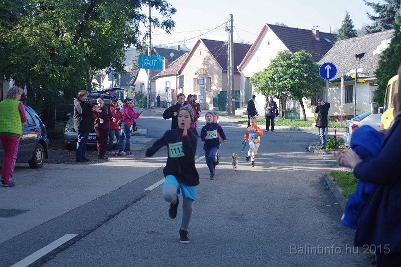 torokbalint_kerekdombfutas_2015_130.jpg
