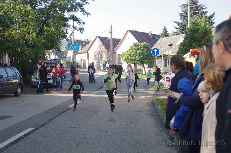 torokbalint_kerekdombfutas_2015_132.jpg