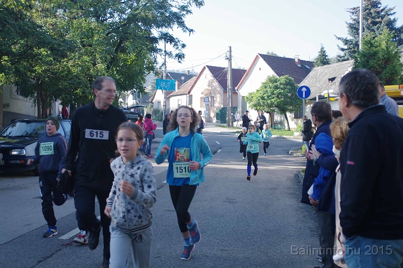 torokbalint_kerekdombfutas_2015_133.jpg