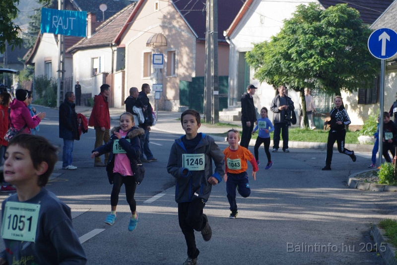 torokbalint_kerekdombfutas_2015_136.jpg